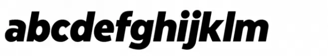Modica Pro Narrow Black Italic