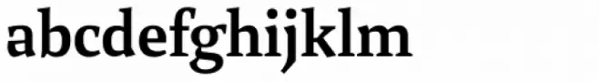 Mokka Bold