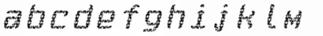Monadic Rough Italic