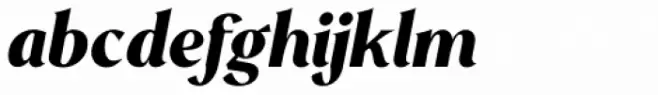 Mondia Black Italic