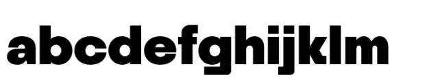 Monolight Heavy
