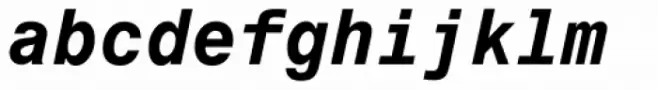 Monospace 821 Std Bold Italic