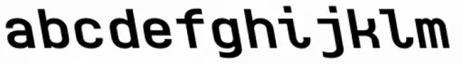 Monospaceland Bold Reverse