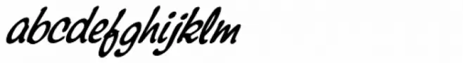 Montauk Pro Italic