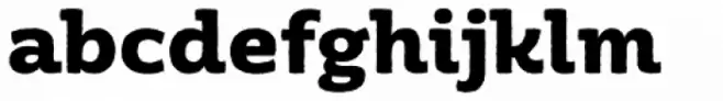 Moreno Rough Bold