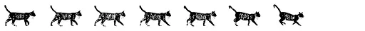 MotionBats Cat Bold