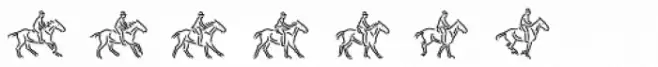 MotionBats Jump Regular
