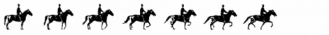 MotionBats Rider Bold