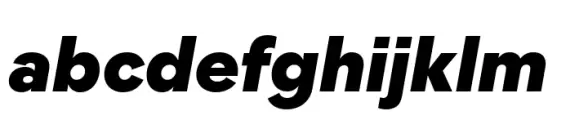 Moucha X Black Italic