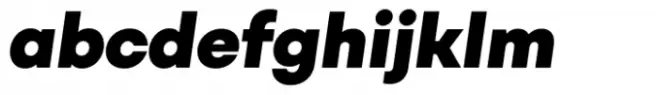 Mozaic Italic Extra Black