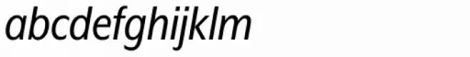 Mr Eaves XL Modern Nar Reg Italic