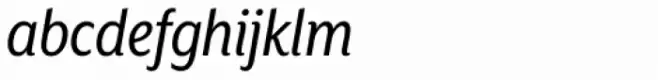 Mr Eaves XL Sans Nar Reg Italic