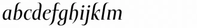 Mramor Medium Pro Italic