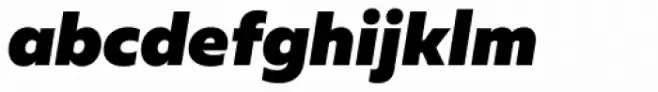 Muller Black Italic