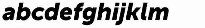 Museo Sans Cyrl 900 Italic