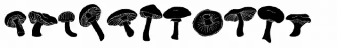 Mushrooms