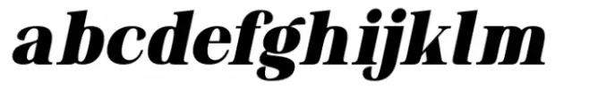 Mylierka Black Italic