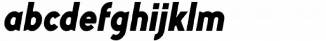 Myna Black Italic