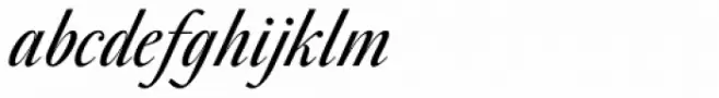 Nabuco Bold