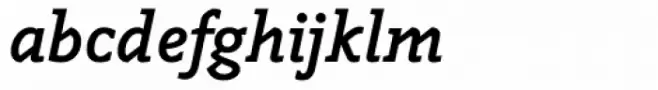 Napoleone Slab Bold Italic