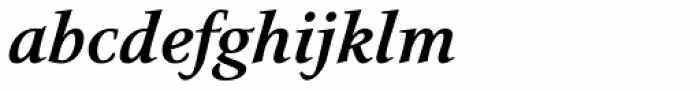 Narration Bold Italic
