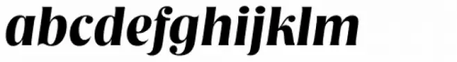 Nashville Serial Bold Italic