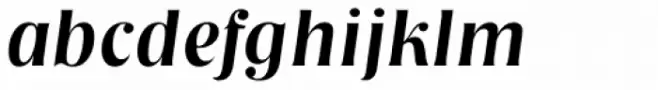 Nashville TS Medium Italic
