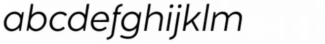Naste Light Italic