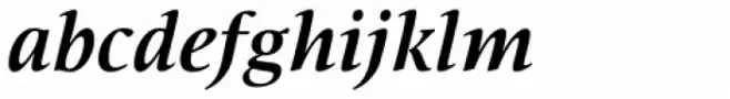 Nat Flight Bold Italic