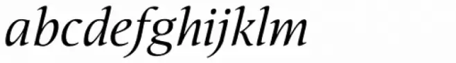 Nat Flight Italic