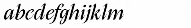 Native Txt Light Italic Italic