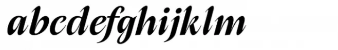 Native Txt Medium Italic Italic