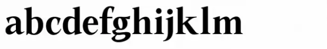 Native Txt Medium