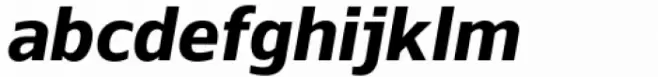 Nauman Neue Sm Condensed Bold Italic