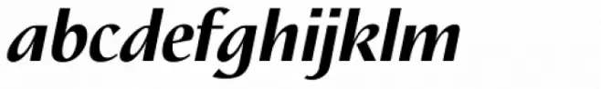 Nautilus Text Pro Black Italic