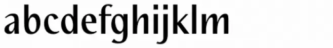 Nautilus Text Pro Medium