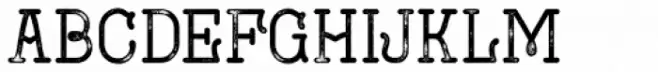 Navigator Rough Bold