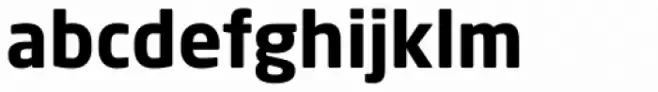 Neo Sans Arabic Std Bold