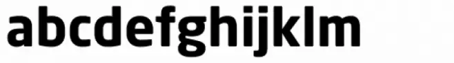 Neo Sans Bold