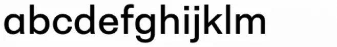 Neogrotesk Essential Alt Regular