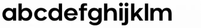 Neometric Alt Bold