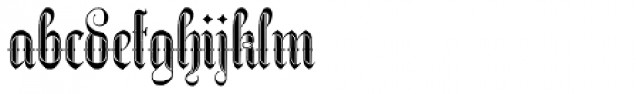 Netherland Perpendicular Bold