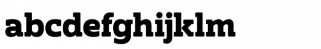 Netra Bold Rounded