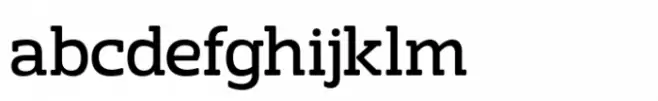 Netra Rounded