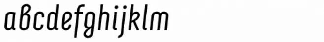 Neubau Pro Italic