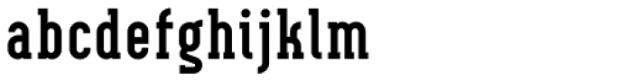 Neubau Serif Bold