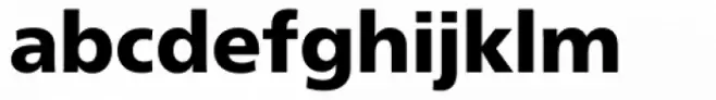 Neue Frutiger Devanagari Black