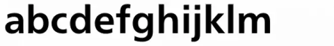 Neue Frutiger Devanagari Bold