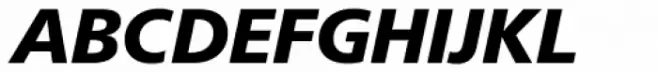 Neue Frutiger Hebrew Black Italic
