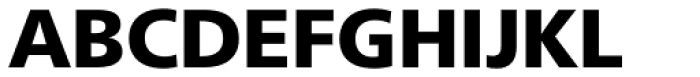 Neue Frutiger Hebrew Black